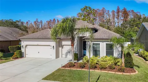 4903 DIAMONDS PALM LOOP — home for sale