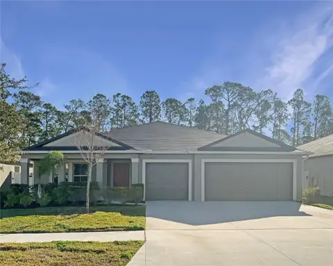 13507 WILLOW BLUESTAR LOOP — home for sale
