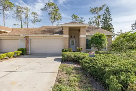 9519 SCENIC PINE CT — home for sale